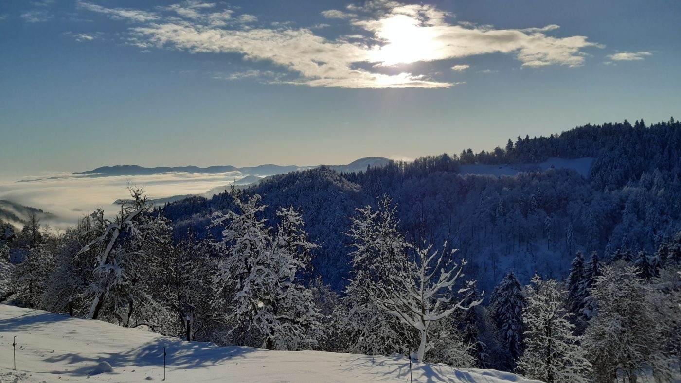 20191214_091839 <em>Drugi dan</em> božične devetdnevnice: <strong>Mir</strong>