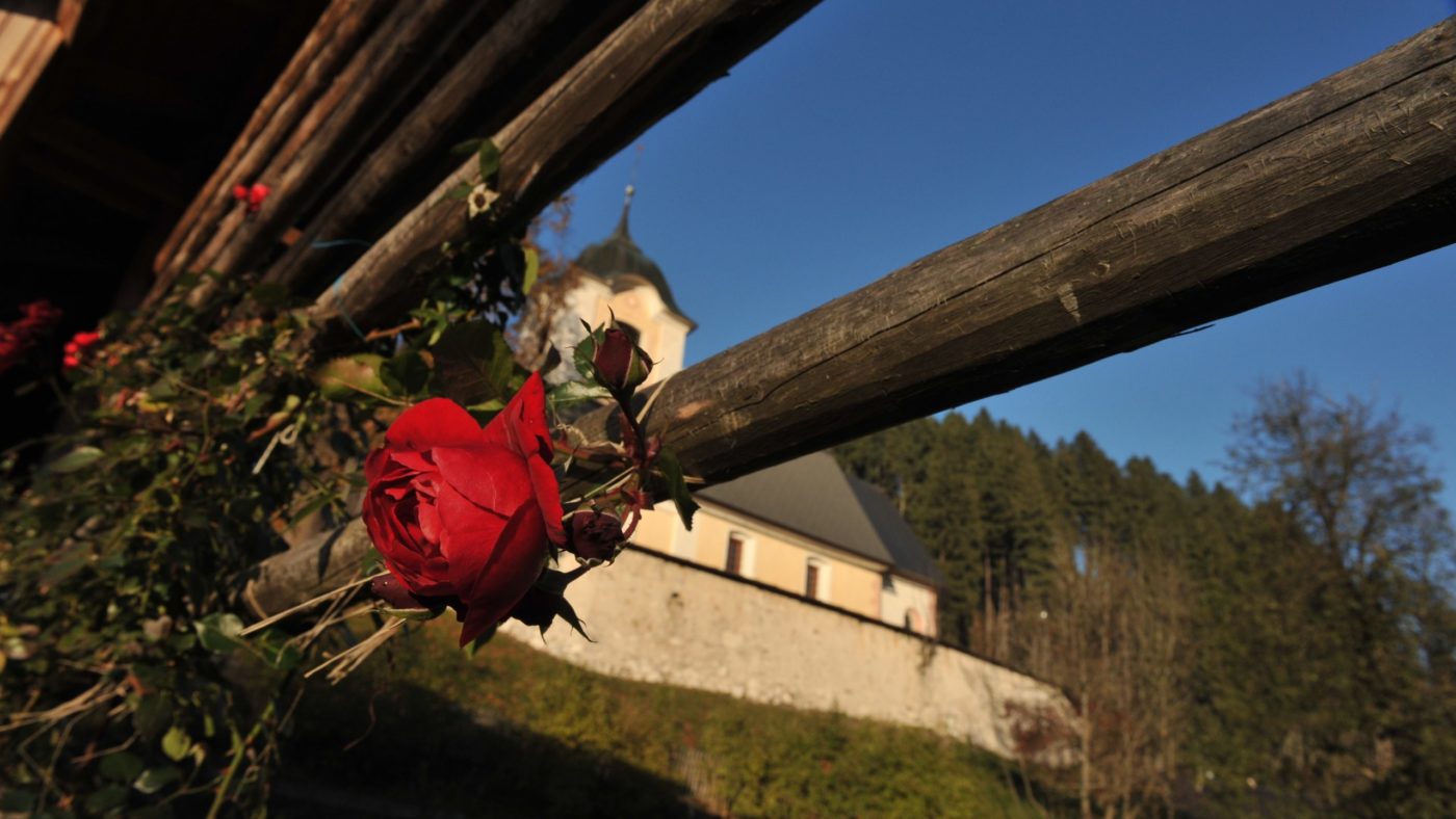 TRPLJENJE <em>Pastoralni</em> tečaj: <strong>Kaj<strong> nam </strong>je koronavirus prinesel</strong> in <strong>kaj odnesel</strong>?