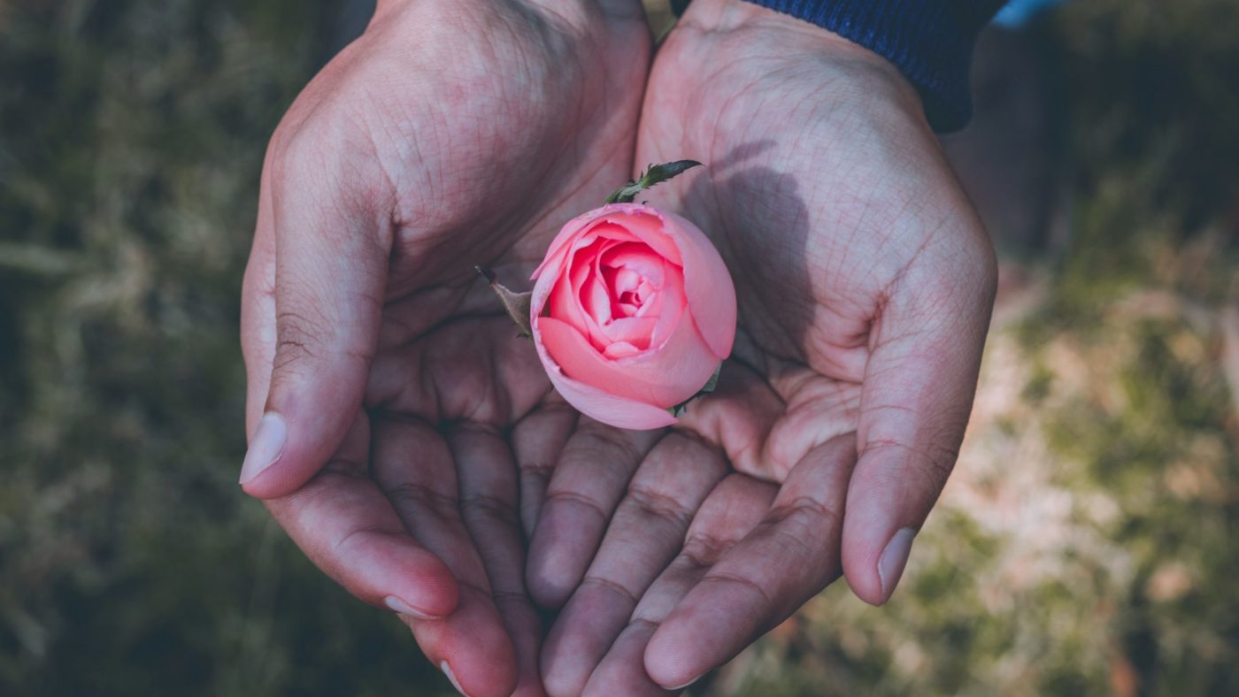 DAR diego-ph-nyESNc7uz9c-unsplash (2) Papež: <EM>Vse se</EM> vedno <EM>začenja</EM> <strong>z milostjo</strong> ne z našimi prizadevanji