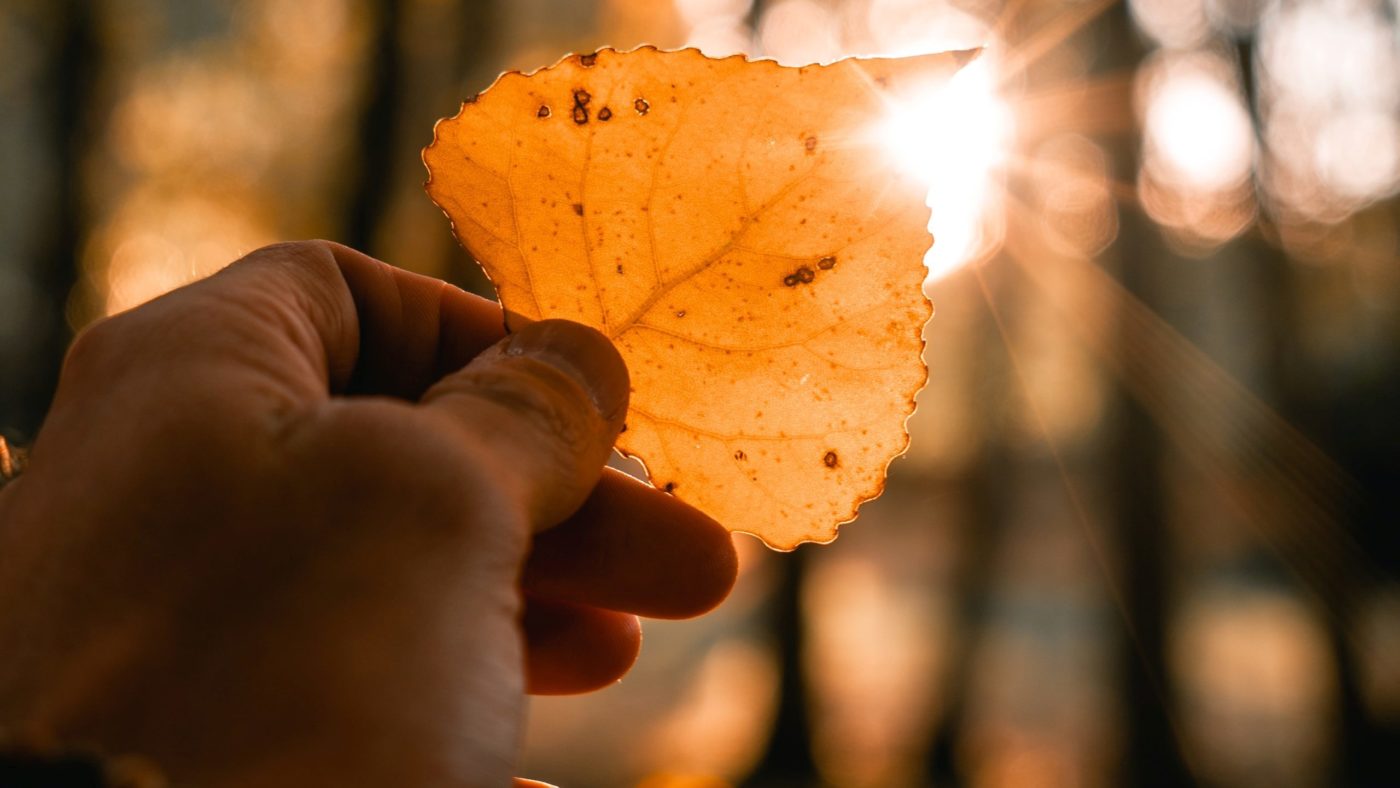 alejandro-luengo-HLqRmQSK7bE-unsplash en Bog1 Iz <em>KKC</em>: 11. <em>Verujem</em> v <strong>enega Boga</strong>