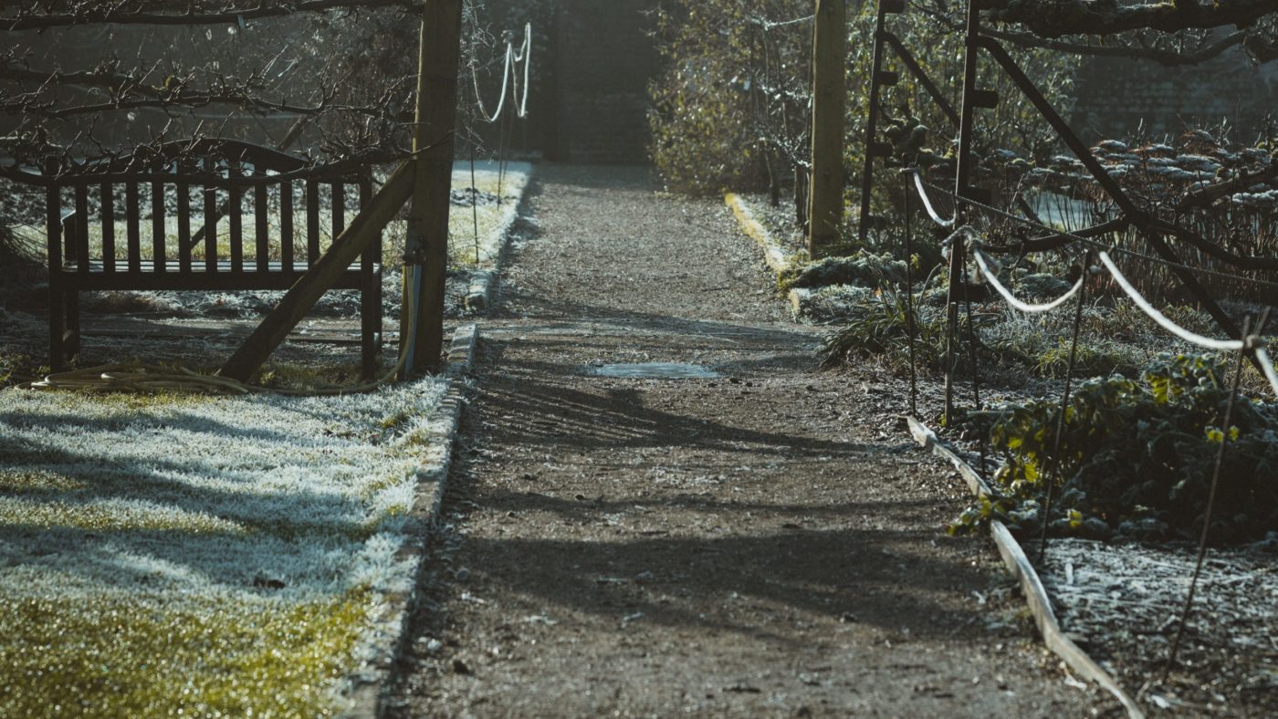 annie-spratt-yOLgiPh1KgY-unsplash, pot Papeževi <em>napotki </em>za <strong>advent</strong>