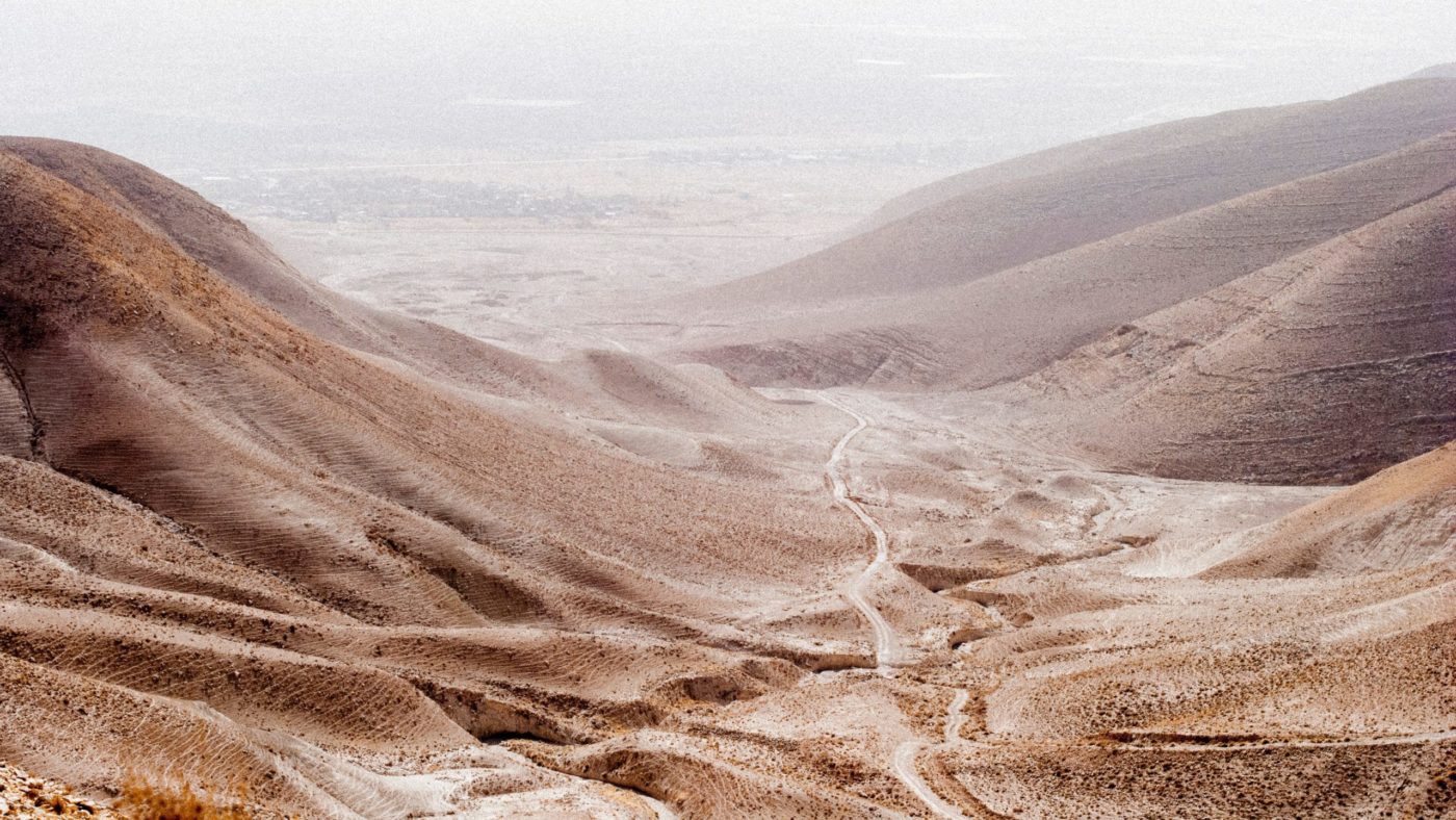 eddie-carolina-stigson-ecIZe6MdUH8-unsplash 1. <strong>postna</strong> nedelja: <EM>Med angeli in zvermi</EM>