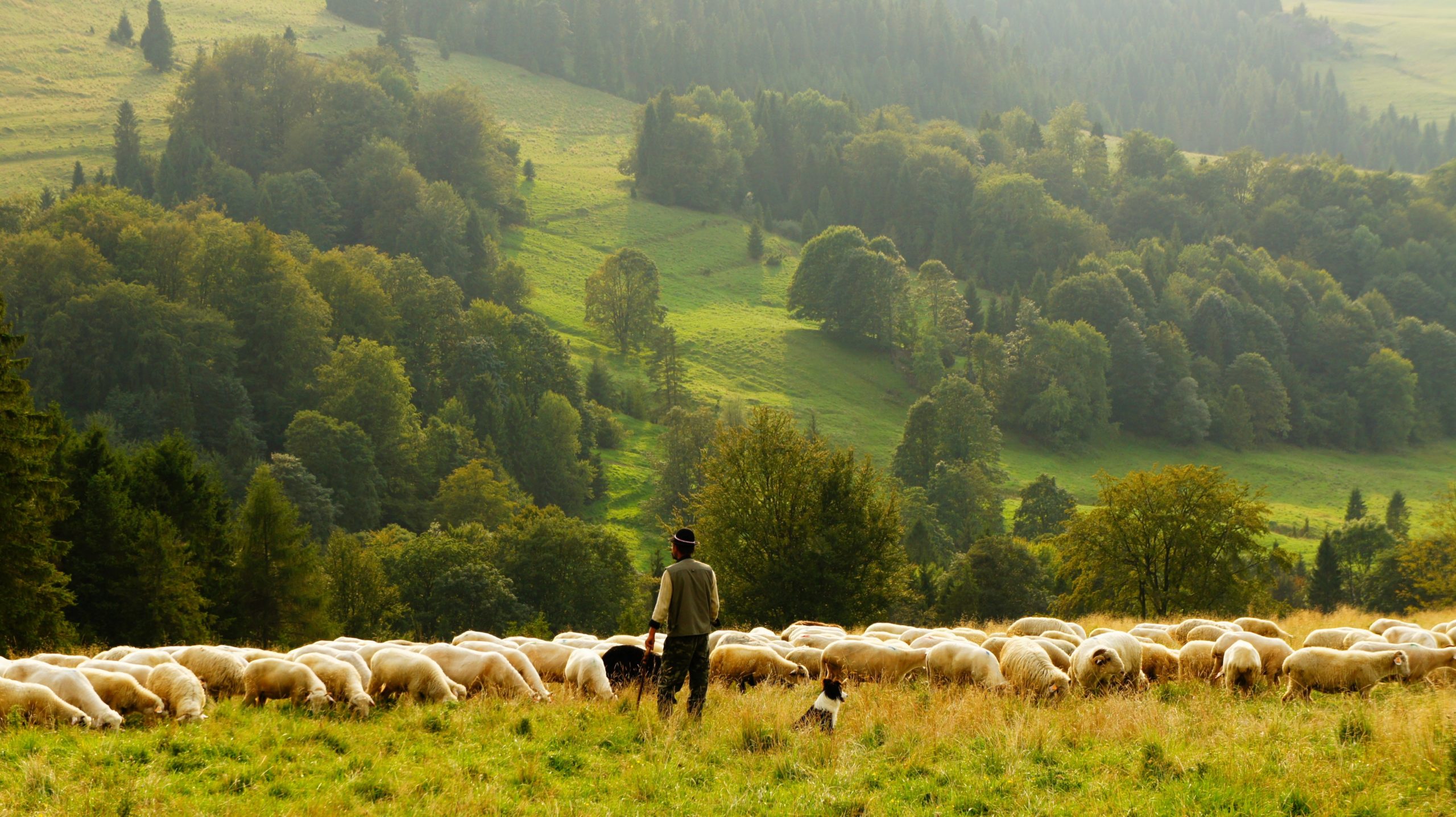 Učimo se <em>pastirovanja</em> od <strong>prvega pastirja</strong>