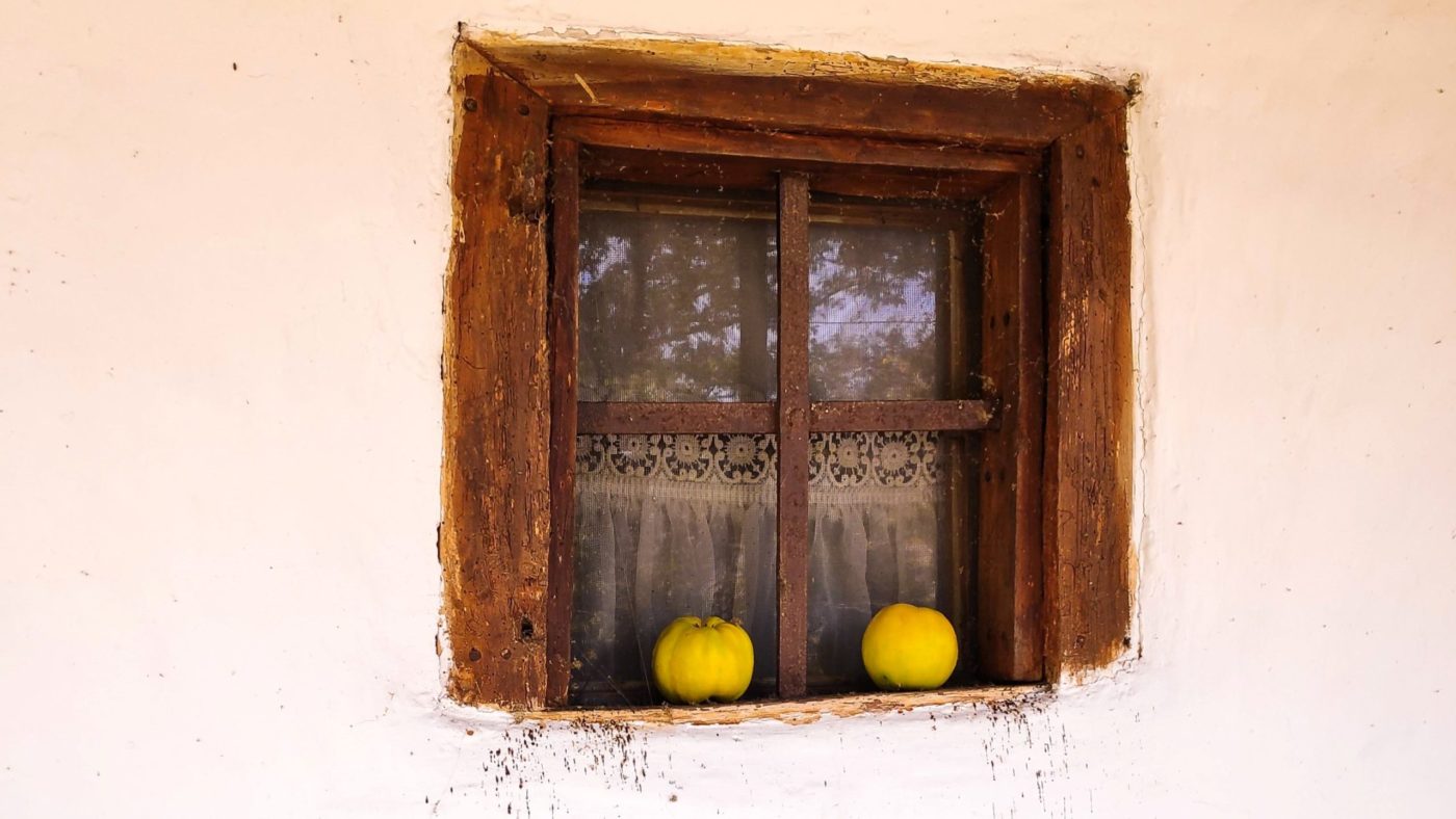 branislav-jovicic-lKpXVwi9t30-unsplash Beseda <strong>starejšim, bolnikom</strong> in njihovim <em>prijateljem</em>