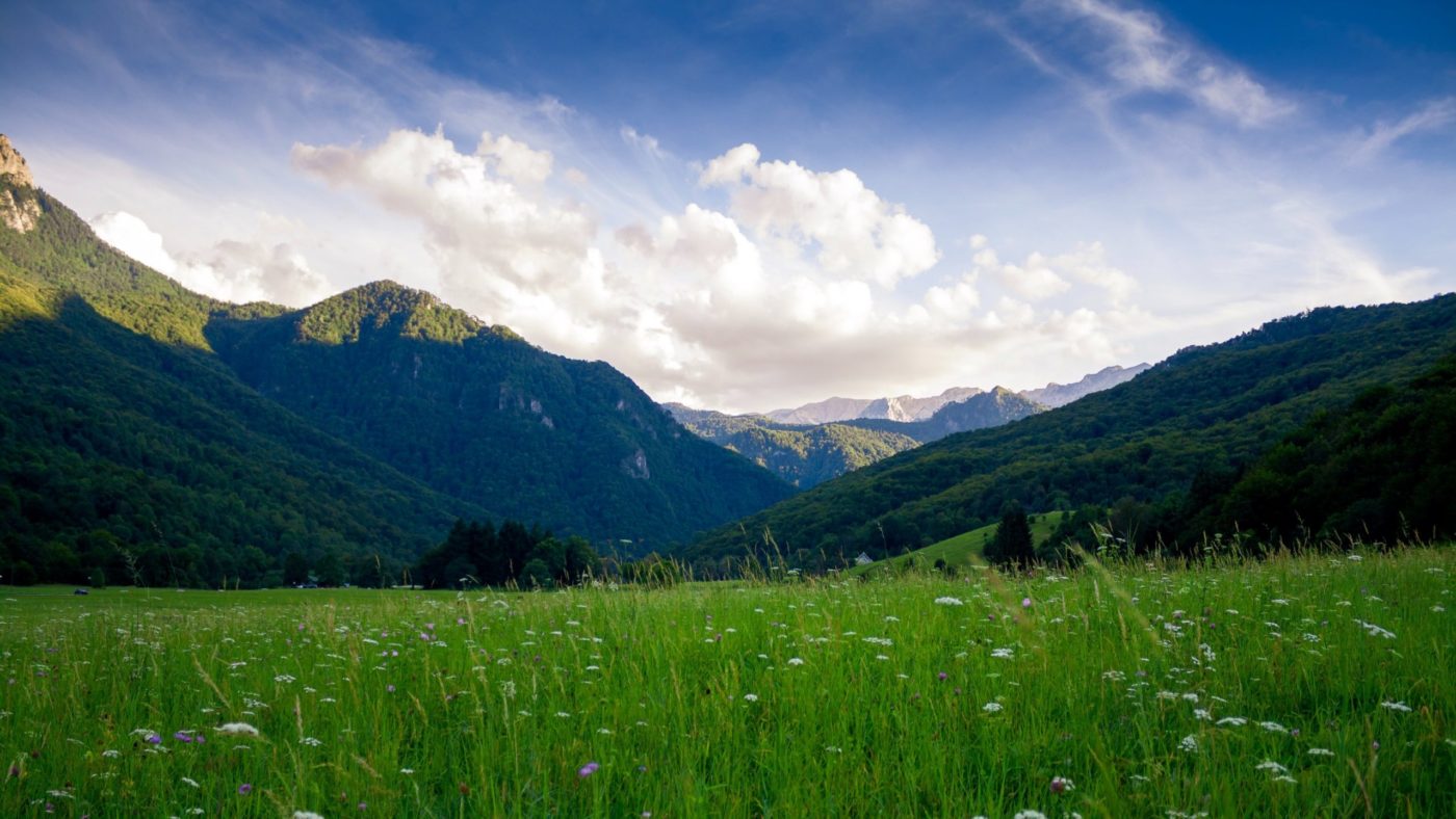 nikola-majksner-hXNGeAFOgT4-unsplash 10. <strong>nedelja</strong> med letom: <em>Kje si?</em>