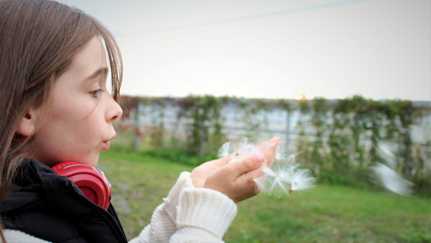 sophie-lavoie-iOTZor1DJek-unsplash Nasveti Svetega Duha: <strong>Živi sedanjost</strong>, išči celoto, <EM>postavi Boga pred svoj jaz </EM>