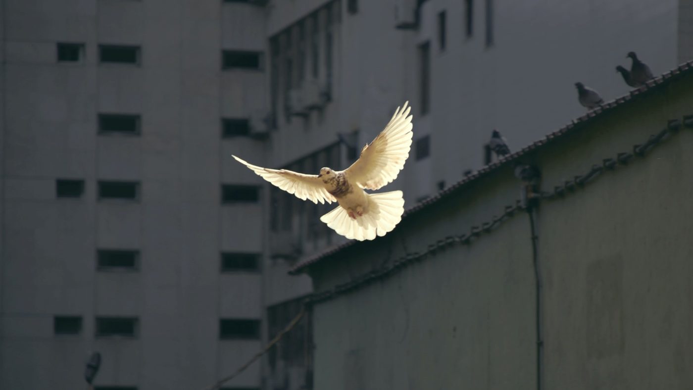 sunguk-kim-JhqBxsORuXA-unsplash Papež z zaskrbljenostjo spremlja <strong>dogajanje</strong> v <em>Sveti deželi </em>