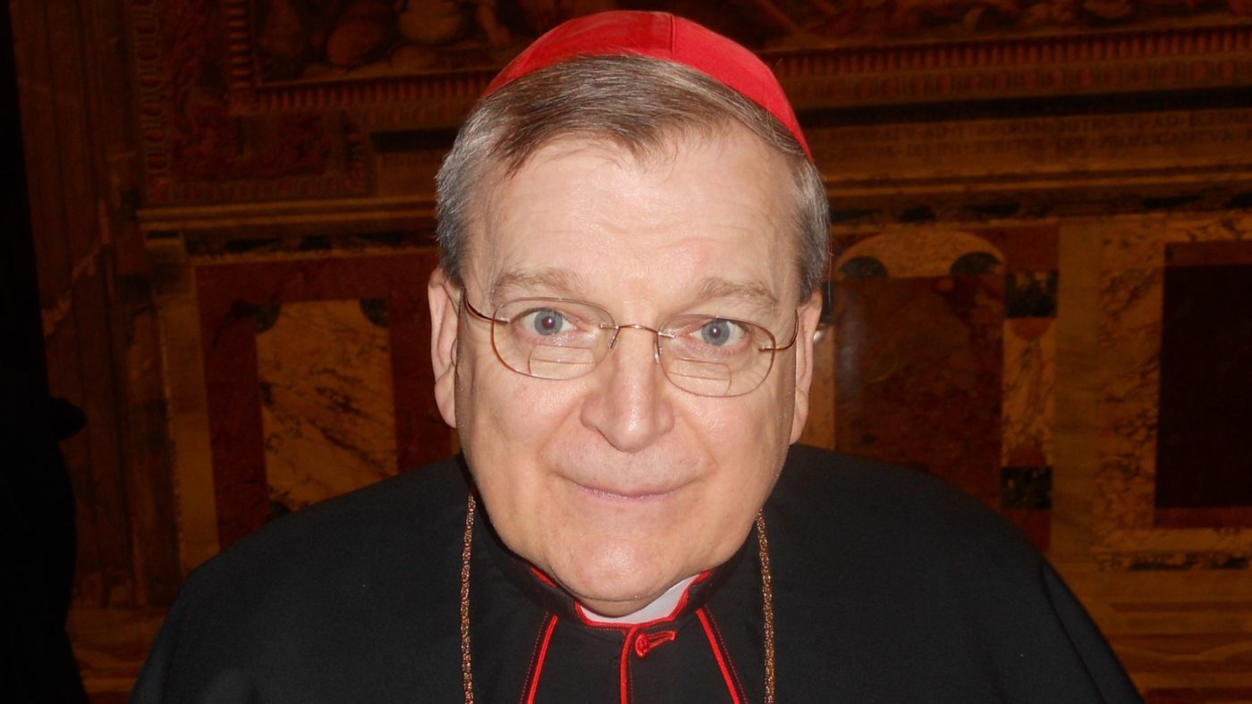 Raymond_Leo_Cardinal_Burke Ameriški <strong>kardinal Burke</strong> <em>priključen na respirator</em>