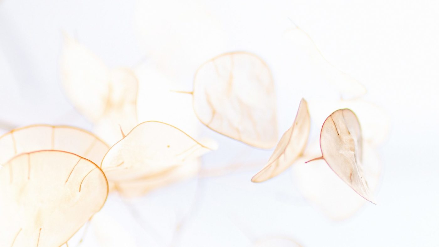 laura-adai-yDAT2YMc85Q-unsplash Sveti oče: <em>Z Bogom</em> <strong>krhkosti niso ovire</strong>, ampak priložnosti