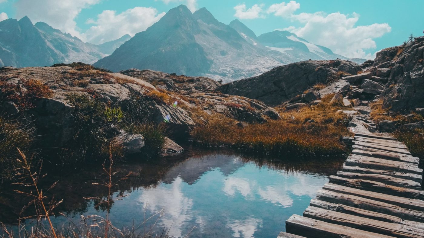 cristina-gottardi-0lC-uTpvcKc-unsplash Sveti oče <strong>Katoliški akciji</strong>: <em>Cerkev »v izhodu«</em>, bratstvo, pristna krščanska duhovnost