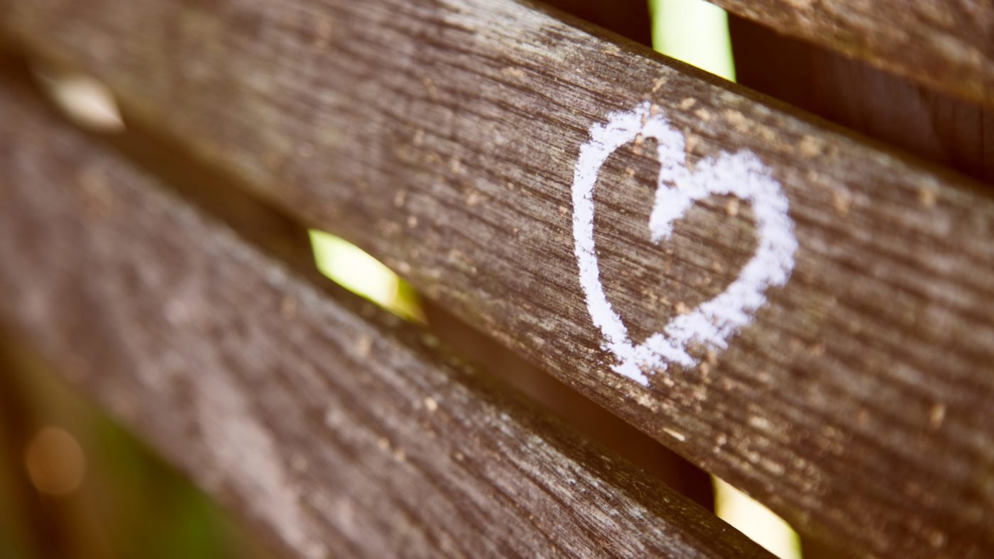 jamez-picard-hgFddoULkHs-unsplash Papeževa kateheza o <strong>hoji v Svetem Duhu</strong>: <em>Krotkost, potrpežljivost, molitev in bližina </em>