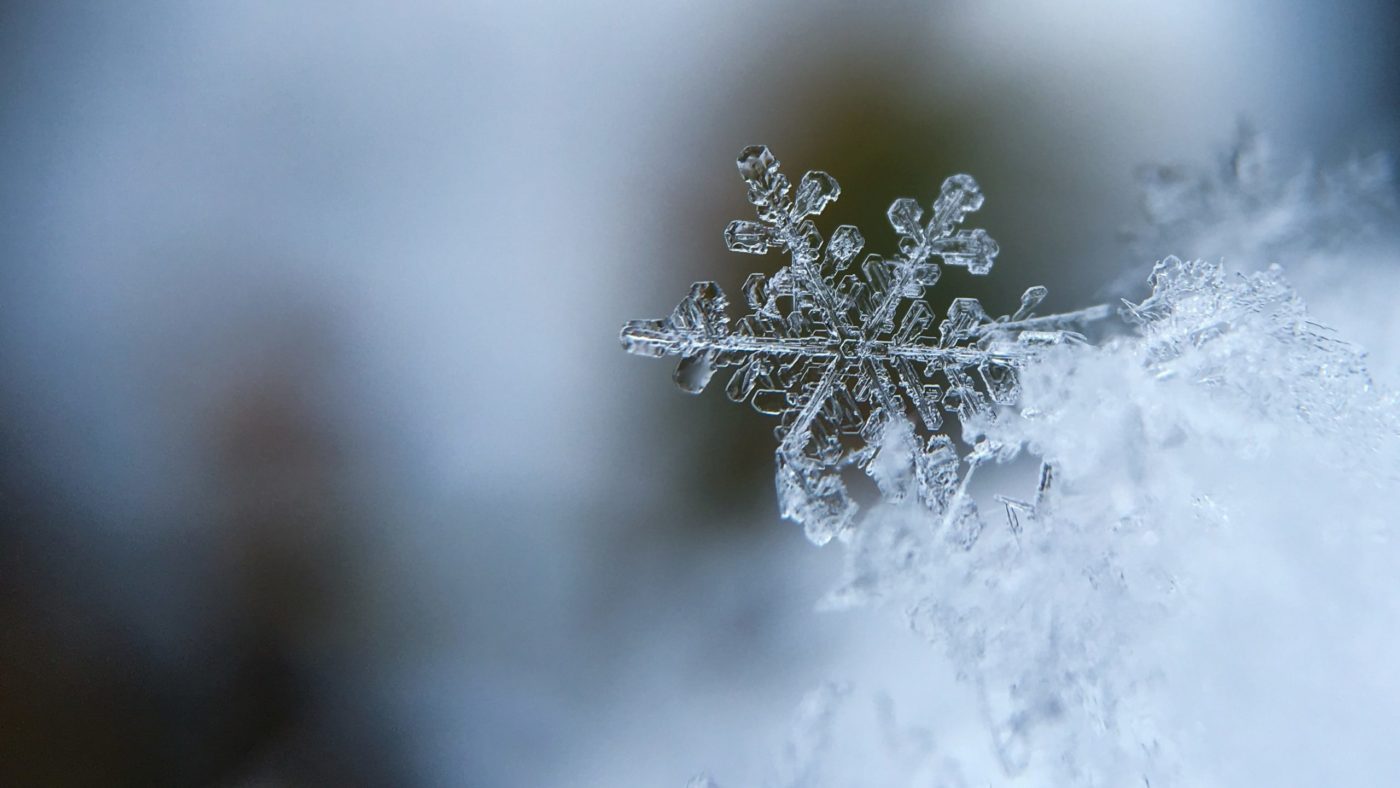 aaron-burden-5AiWn2U10cw-unsplash Papež Frančišek na <strong>praznik Brezmadežne</strong>: <em>Oči upreti v Boga in v druge</em>
