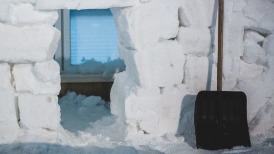 black shovel on white snow Z <em>verigo ljubezni</em> skozi advent – <strong>9. december</strong>