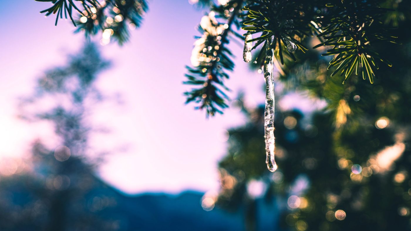 shadrin-andres-PR8w5XwSd9k-unsplash Papež Frančišek: Za <strong>pustiti se srečati z Bogom</strong> <en>je potrebna ponižnost</en>