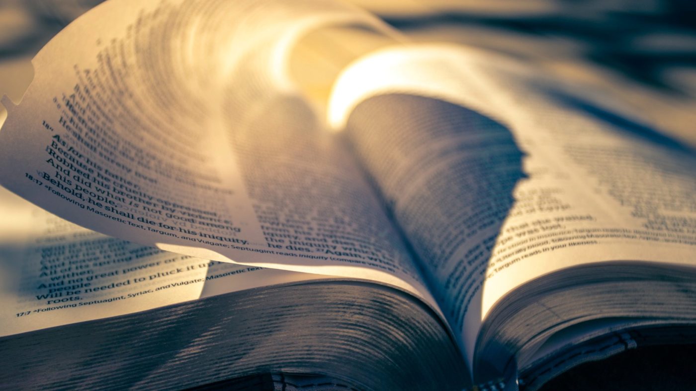 timothy-eberly-U4UwzRSns6M-unsplash (1) Nedelja 27. februar, 8. nedelja med letom: Iver in bruno