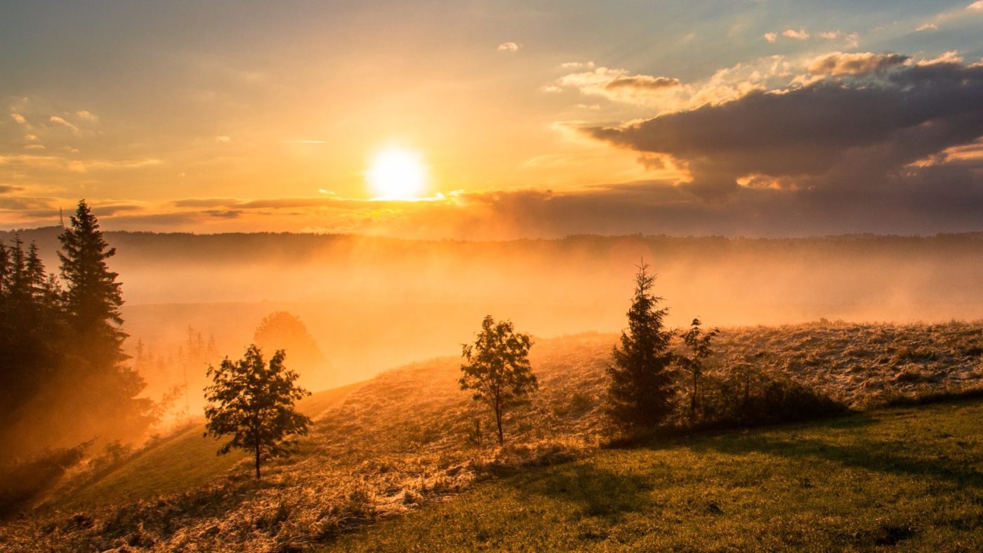 dawid-zawila–G3rw6Y02D0-unsplash <strong>Misli ob Božji besedi</strong> Velike sobote: <em>Bog v podzemlju</em>