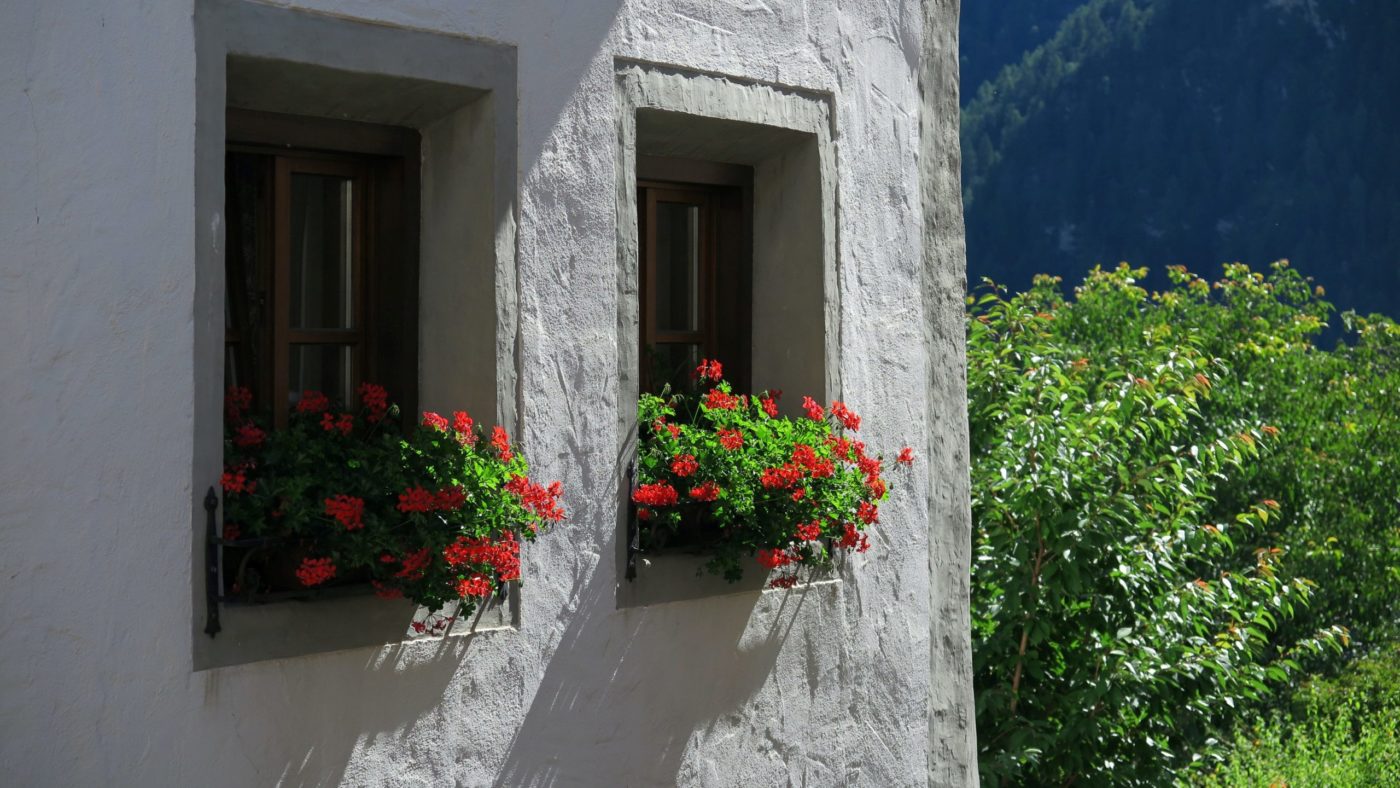 marco-forno-Ps3BGblyXm4-unsplash Papež Frančišek: <strong>Dobro</strong> moramo delati <em>zaradi služenja in ne zaradi aplavzov</em>