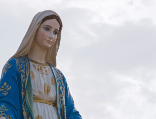 Marija – milosti polna