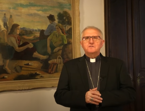 Nadškof Stanislav – 4. nedelja med letom