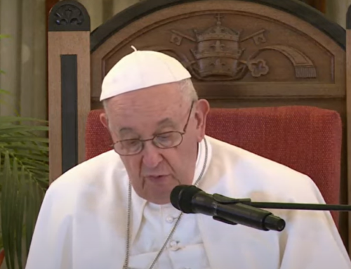 Papež: Ljubezen zahteva zglednost, daljnovidnost in povezovanje
