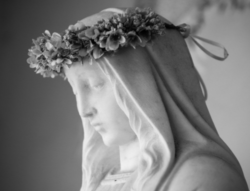 Zakaj Cerkev praznuje Marijin rojstni dan?