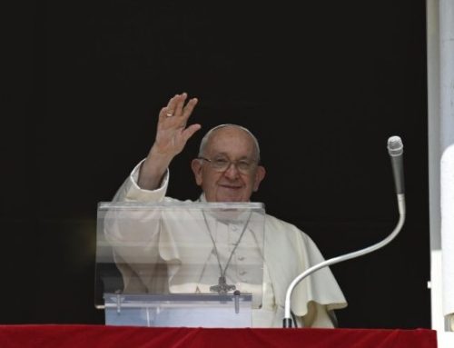 Papež Frančišek med opoldanskim nagovorom: Ne pozabite! Grešniki da, pokvarjenci ne!