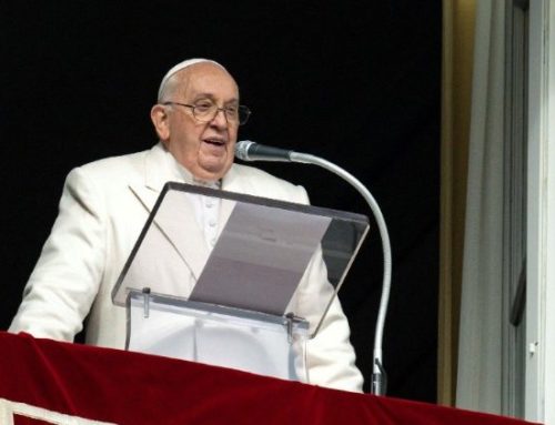 Papež Frančišek: Janez Krstnik je svetilka, medtem ko je Kristus Luč
