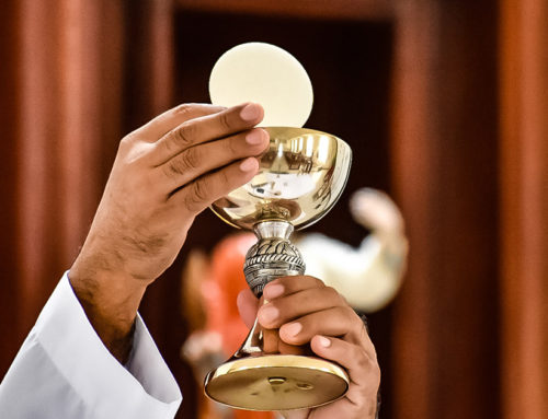 Osnove bogoslužja, liturgični tečaj – povezava