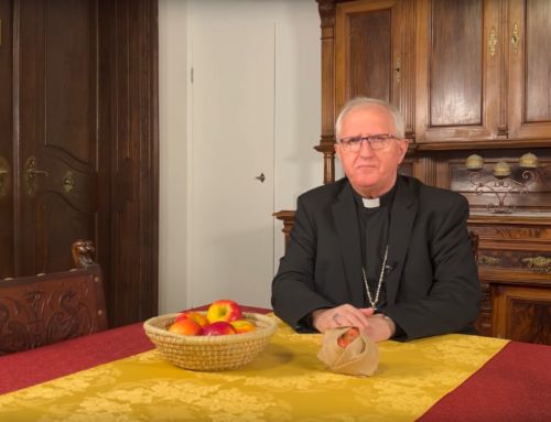 Nadškof Stanislav Zore: 6. nedelja med letom
