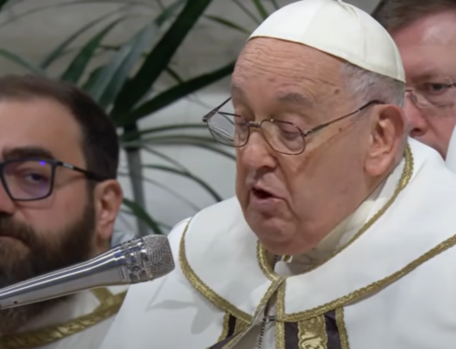 Papež Frančišek med sveto mašo s kanonizacijo o dveh Jezusovih gestah: dotakne se in ozdravi