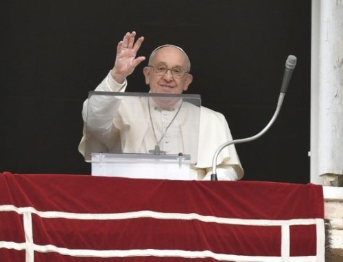 Papeževa kateheza: Zmernost daje ravnotežje pri uporabi dobrin in tehtanju besed