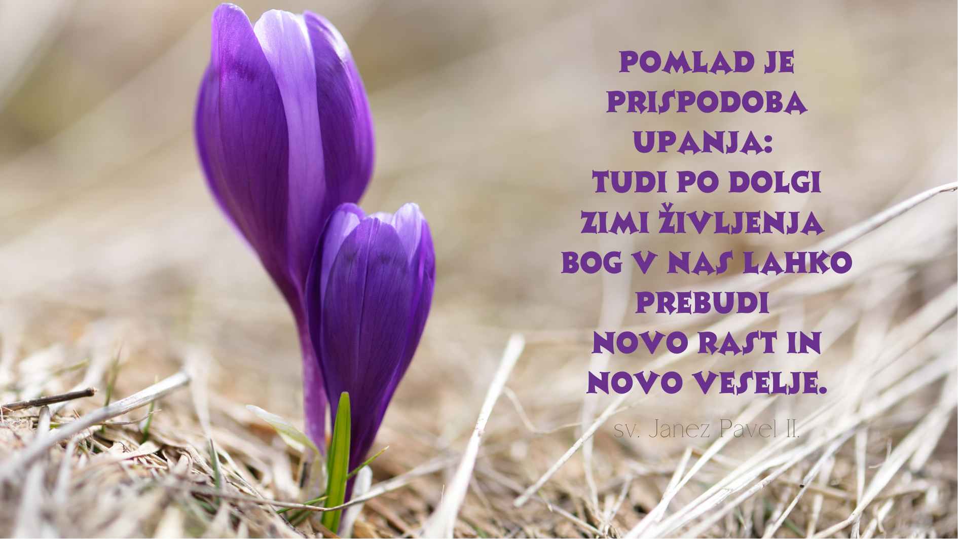 <em>Pomlad</em> je <strong>prispodoba upanja…</strong>