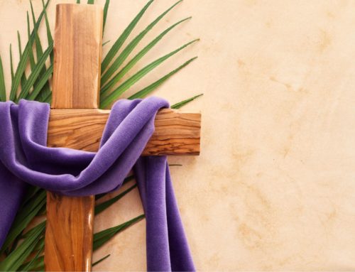 Kako se različni pastoralni sodelavci pripravijo na praznik cvetne nedelje