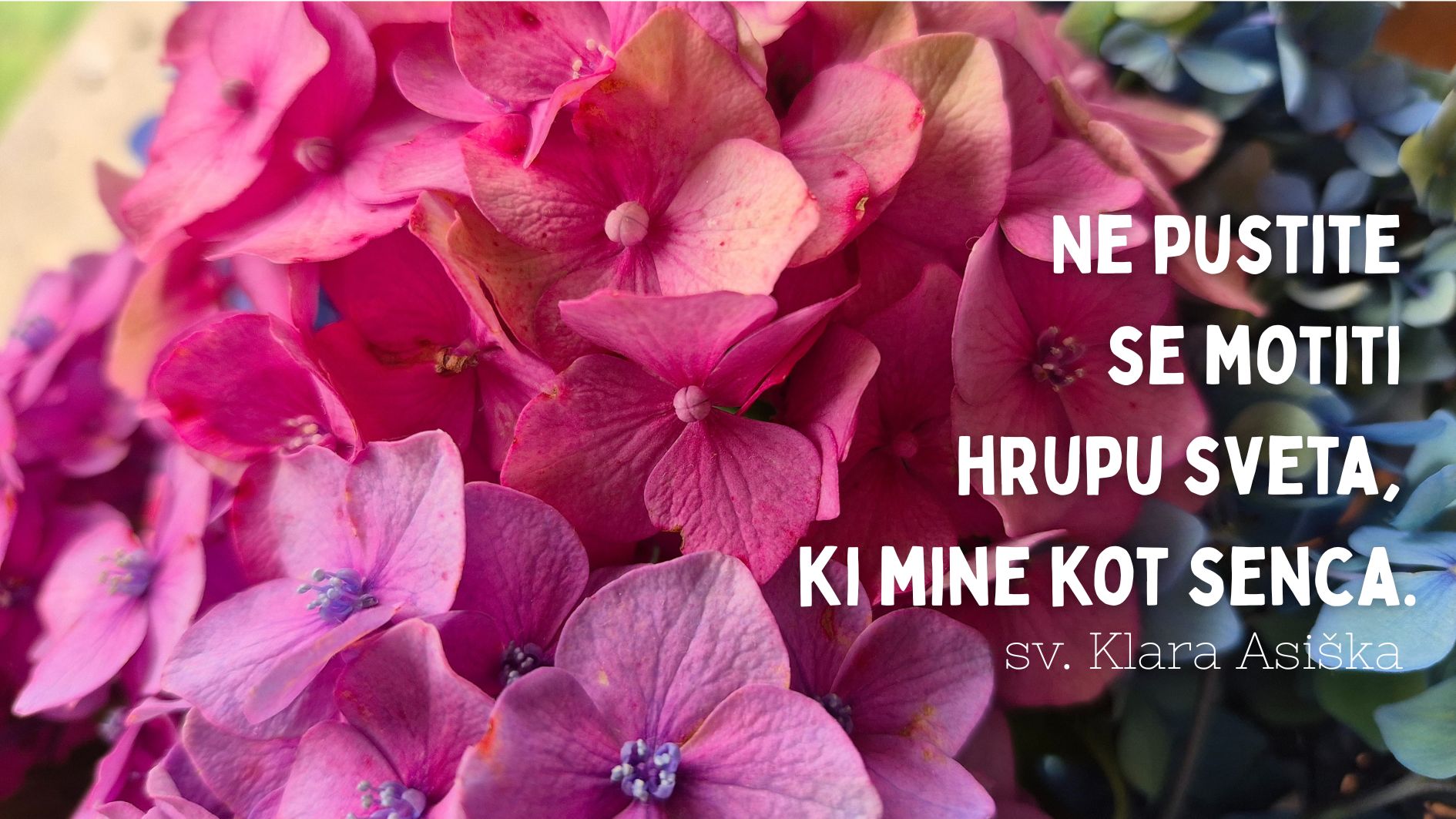 Ne <em>pustite se</em> <strong>motiti…</strong>
