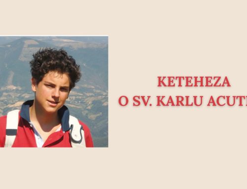 Kateheza o sv. Karlu Acutisu za vse triade