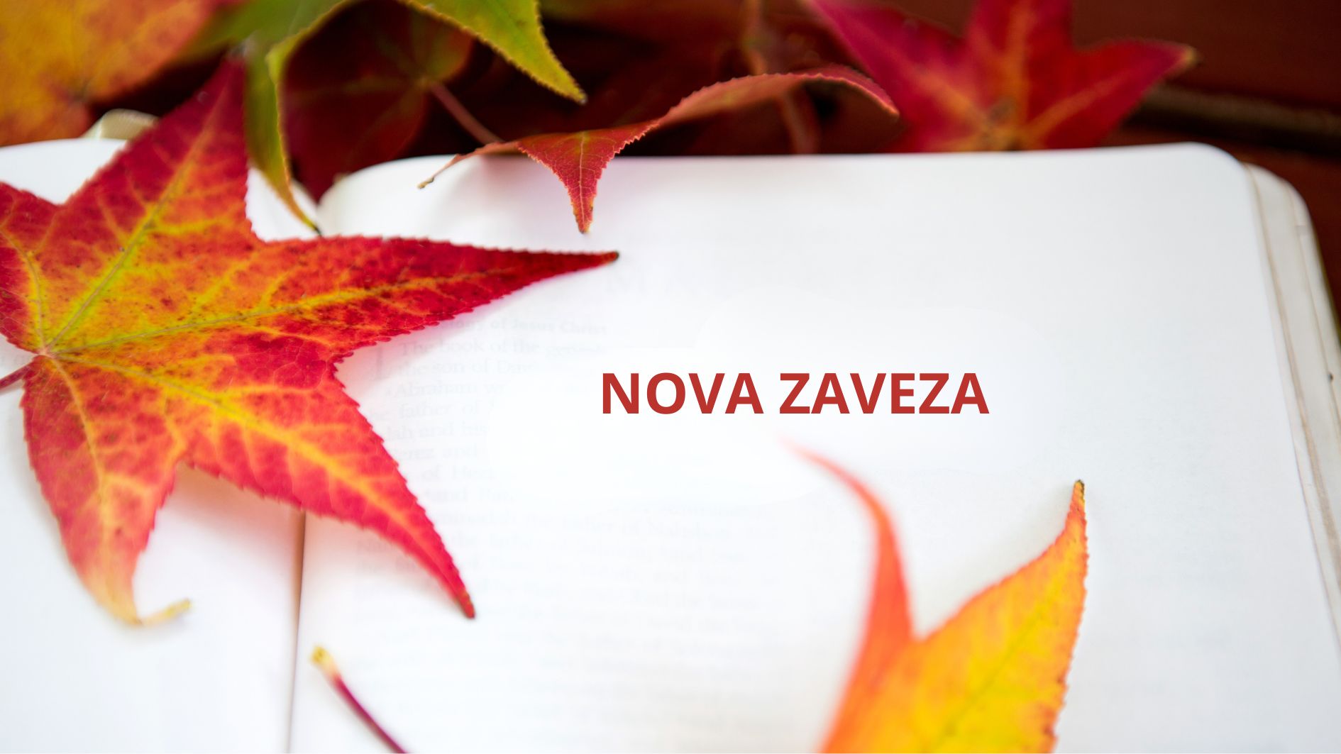 Petek, <em>31. oktober 2025:</em> <strong>Jezus ozdravi vodeničnega človeka v soboto</strong>