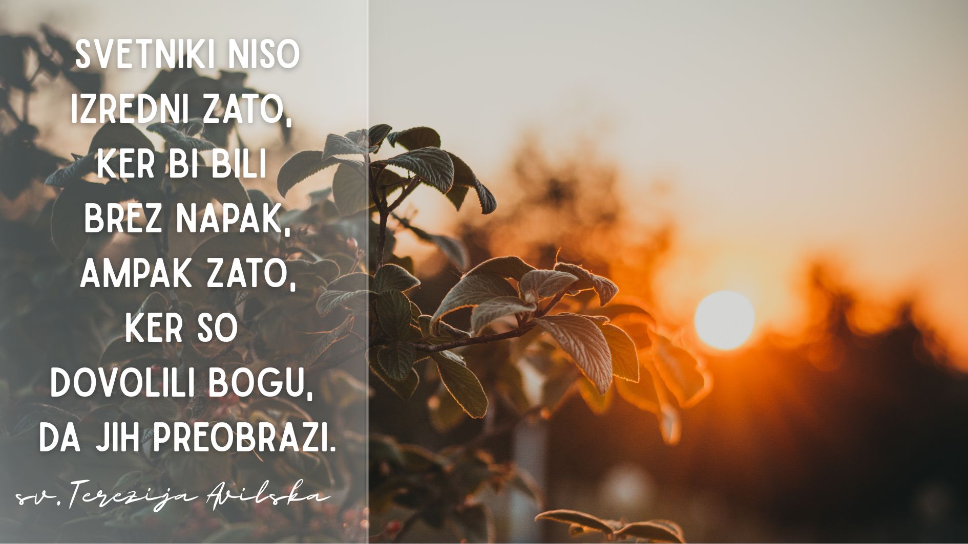Svetniki <em>niso izredni</em> zato, ker <strong>bi bili brez napak…</strong>