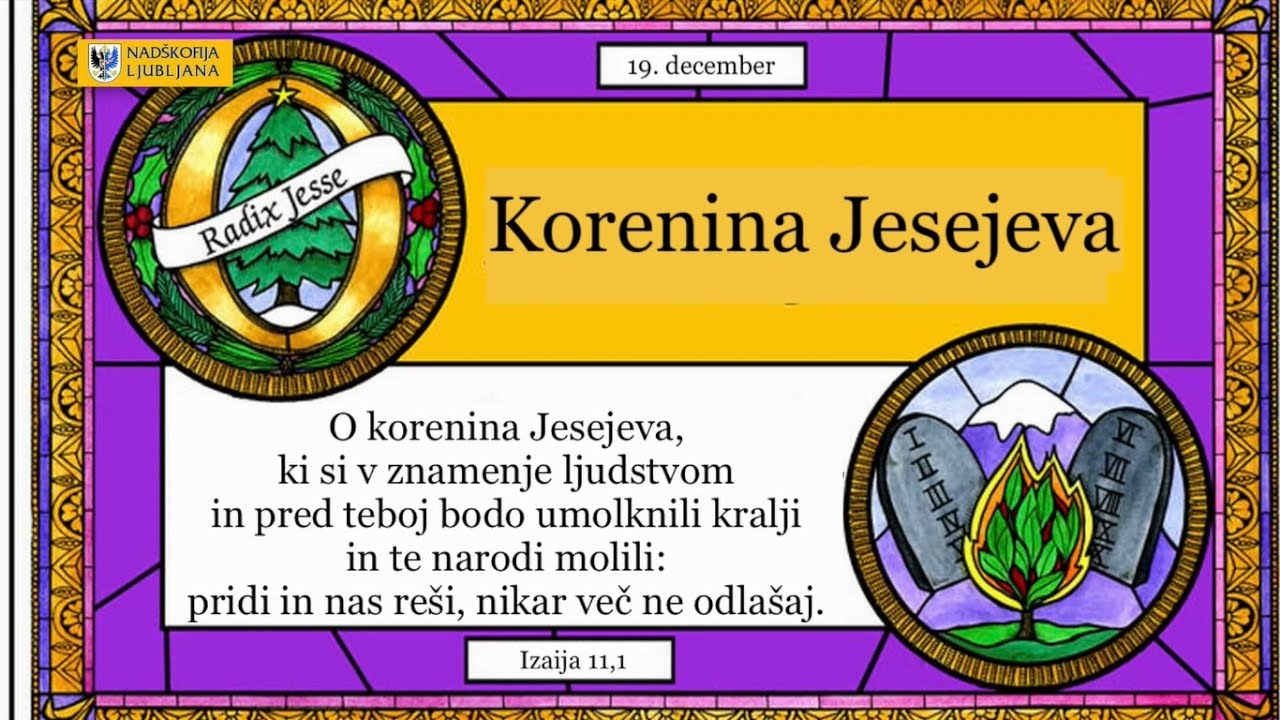 <strong>O-antifona</strong> na petek, 19. decembra: <em>O korenina Jesejeva, pridi in nas reši!</em>