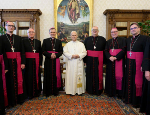 Nagovor škofa Andreja Sajeta ob srečanju slovenskih škofov s papežem Leonom XIV. ob obisku Ad limina apostolorum v Rimu