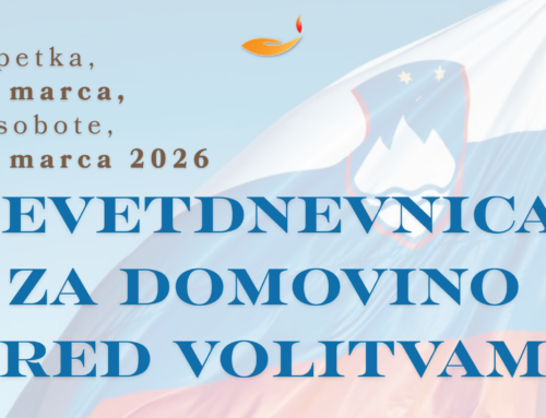 Devetdnevnica pred državnozborskimi volitvami