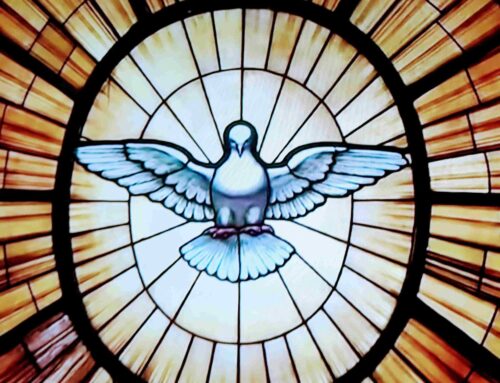 Dan po vnebohodu začenjamo z binkoštno devetdnevnico