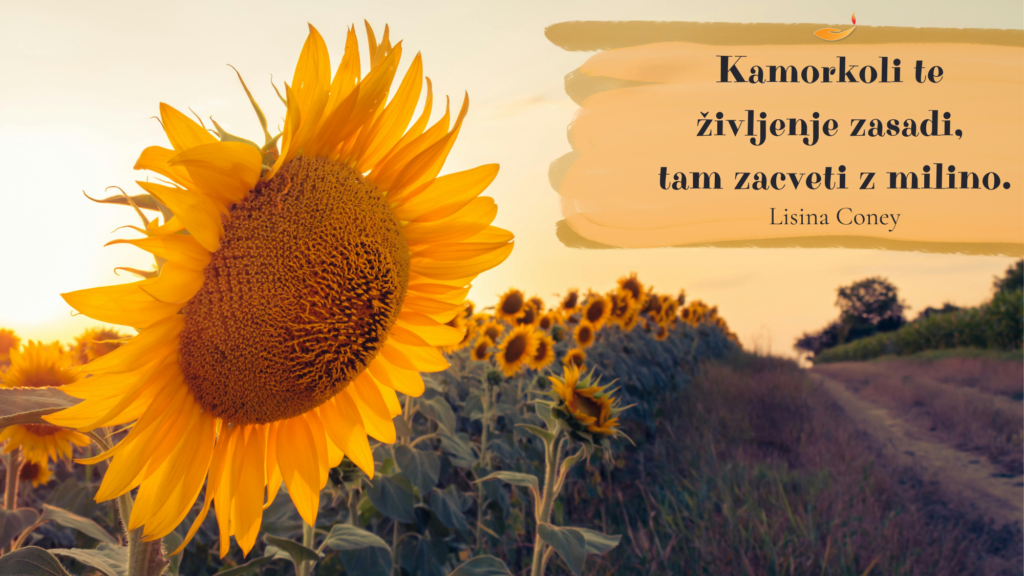 Kamorkoli te <strong>življenje</strong> <em>zasadi…</em>