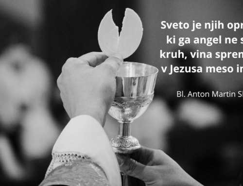 Novomašniško veselje v Slomškovi pesmi